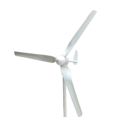 Pequeña turbina de viento horizontal blanca para el uso en el hogar 600W 800W 1000W 12V 24V 48V