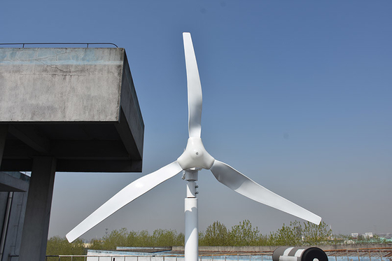 Pequeño molino de viento horizontal horizontal trifásico de voltio 800W de voltio 48 de la turbina de viento 24