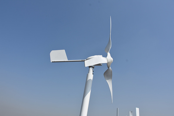 Pequeño molino de viento horizontal horizontal trifásico de voltio 800W de voltio 48 de la turbina de viento 24